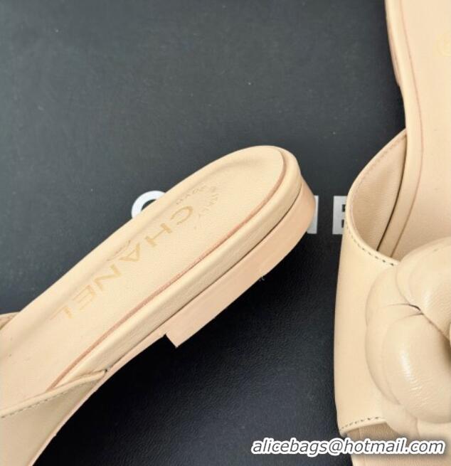 Most Popular Chanel Camellia Bloom Calfskin Flat Slide Sandals 1.5cm Beige 0224008