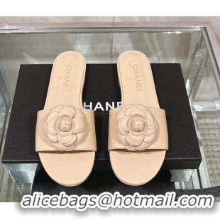 Good Looking Chanel Camellia Bloom Lambskin Flat Slide Sandals 1cm G45499 Beige 224012