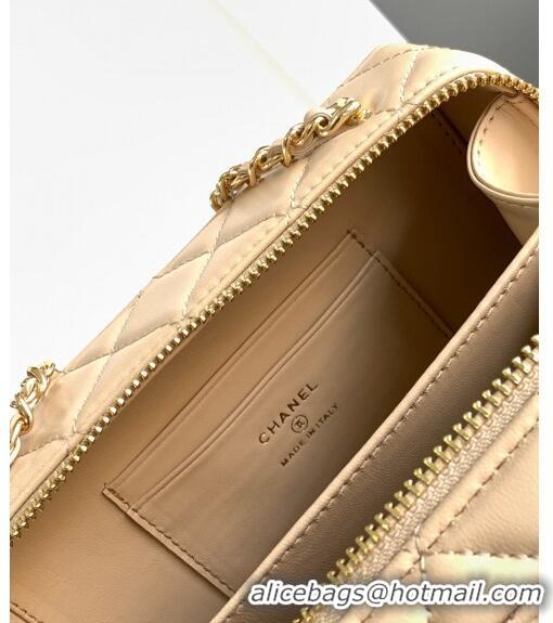 Super Quality Chanel Quilted Calfskin Camera Bag AS4817 Beige 2024