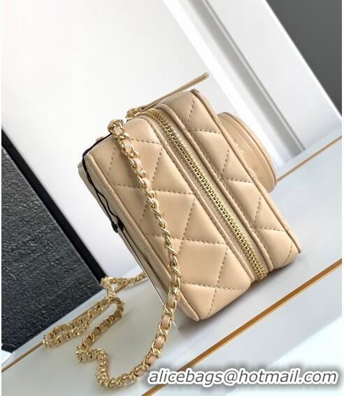 Super Quality Chanel Quilted Calfskin Camera Bag AS4817 Beige 2024