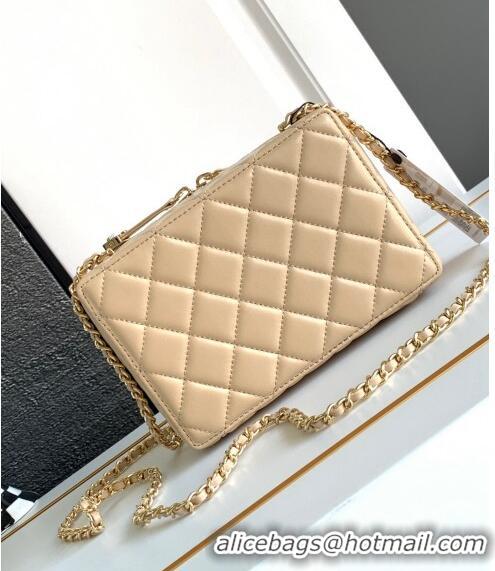 Super Quality Chanel Quilted Calfskin Camera Bag AS4817 Beige 2024