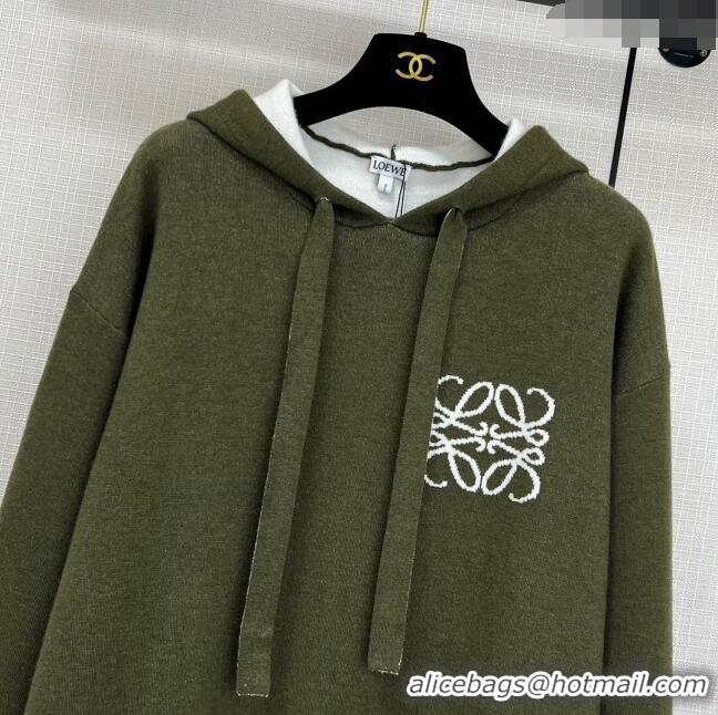 Famous Brand Loewe Wool Sweater L11313 Green 2024