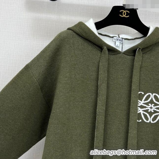 Famous Brand Loewe Wool Sweater L11313 Green 2024