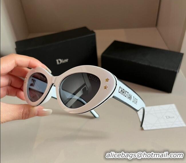 Classic Specials Dior Sunglasses 030401 White1/Black 2024