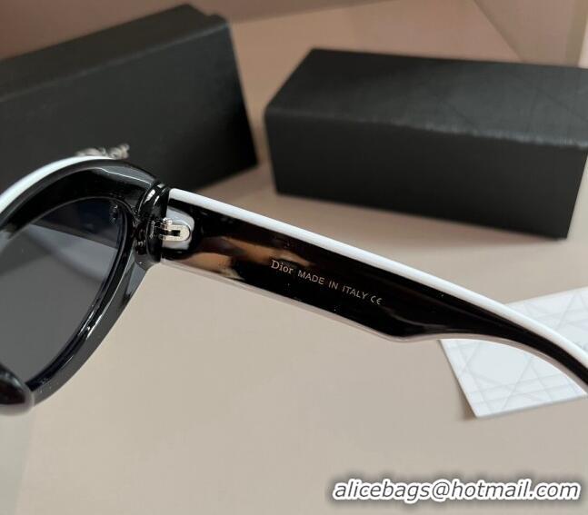 Buy New Cheap Dior Sunglasses 030401 White2/Black 2024