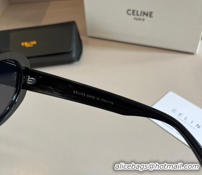 Traditional Specials Celine Sunglasses 030501 Black 2024