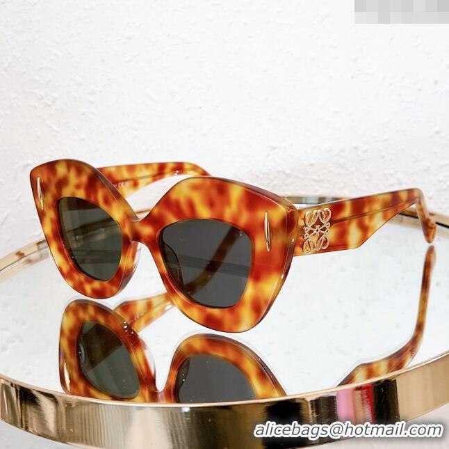 Buy Inexpensive Loewe Sunglasses LW401271 Brown 2023