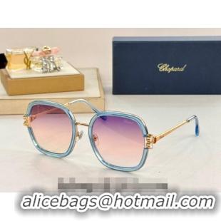 Traditional Discount Chapand Sunglasses SCHG32V 2024