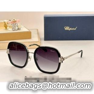 Reasonable Price Chapand Sunglasses SCHG32V 2024