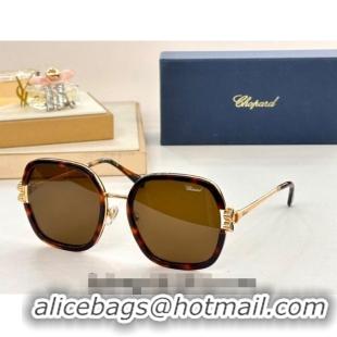 Unique Grade Chapand Sunglasses SCHG32V 2024