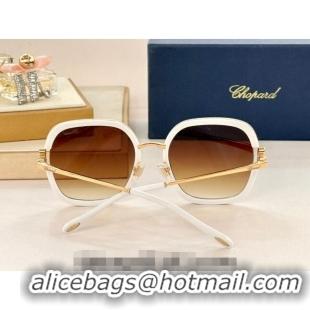 Trendy Design Chapand Sunglasses SCHG32V 2024