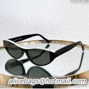 Traditional Specials Chanel Sunglasses CH54361 2023