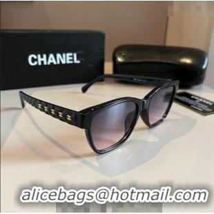 Fashion Show Collections Chanel Sunglasses 030404 Black/Purple 2024