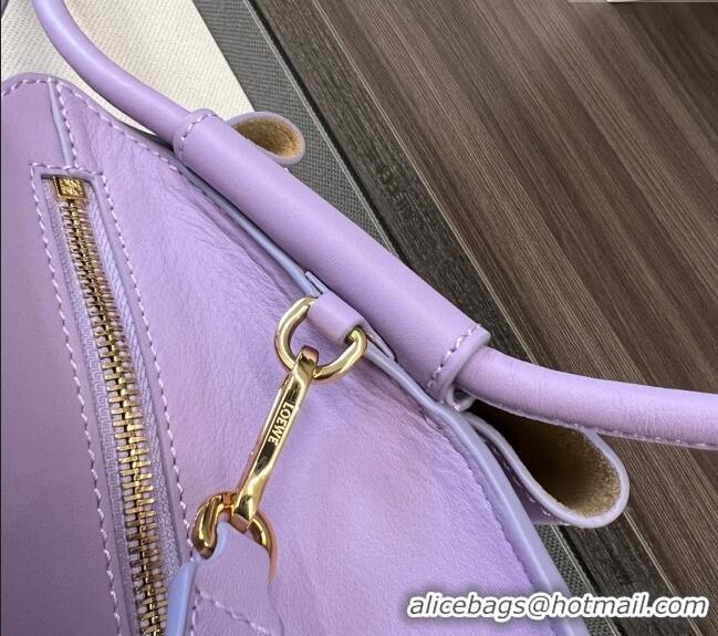 Grade Cheap Loewe Small Paseo Bag in Shiny Nappa Calfskin 062247 Purple 2023