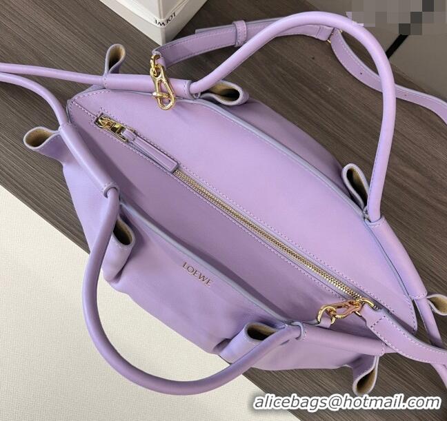 Grade Cheap Loewe Small Paseo Bag in Shiny Nappa Calfskin 062247 Purple 2023