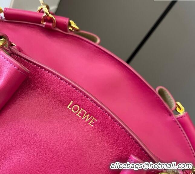 Pretty Style Loewe Small Paseo Bag in Shiny Nappa Calfskin 062247 Dark Pink 2023