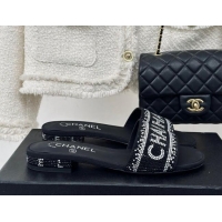 Pretty Style Chanel Crystals Flat Slide Sandals with Logo Band Black 0223101