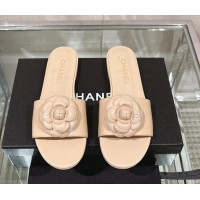 Good Looking Chanel Camellia Bloom Lambskin Flat Slide Sandals 1cm G45499 Beige 224012