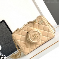 Super Quality Chanel Quilted Calfskin Camera Bag AS4817 Beige 2024