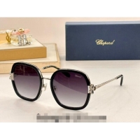 Reasonable Price Chapand Sunglasses SCHG32V 2024