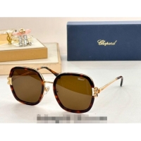 Unique Grade Chapand Sunglasses SCHG32V 2024