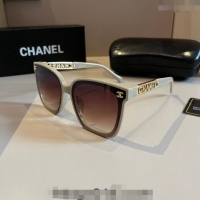 Buy Classic Chanel Sunglasses 030407 Grey 2024