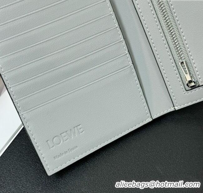 Buy Discount Loewe Bifold Wallet in Grained Calfskin L2119 Grey 2024