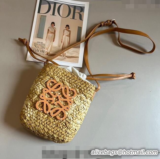 Most Popular Loewe Straw Mini Bucket bag 040201 Khaki 2024