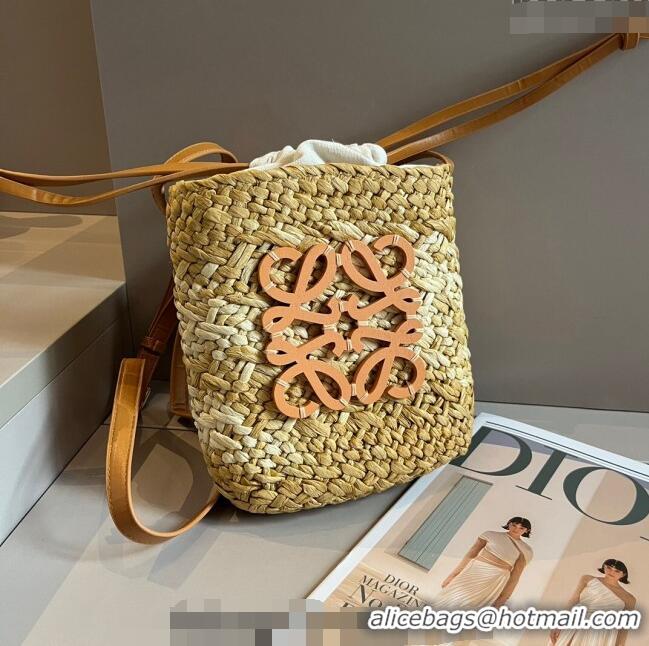 Most Popular Loewe Straw Mini Bucket bag 040201 Khaki 2024