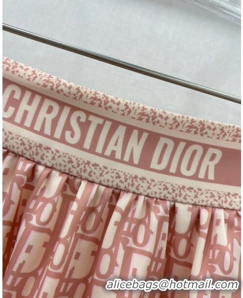 ​Good Quality Dior Skirt D040118 Pink 2024