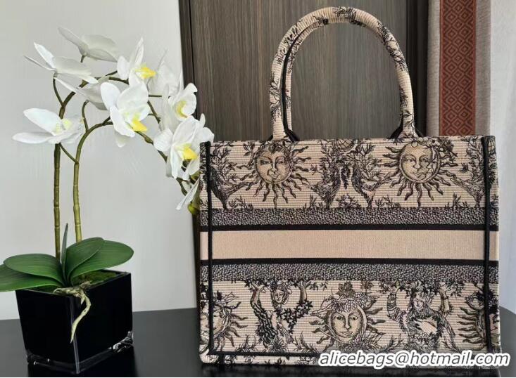 Top Grade Medium Dior Book Tote Beige and Black Toile de Jouy Soleil Embroidery M1286ZEC