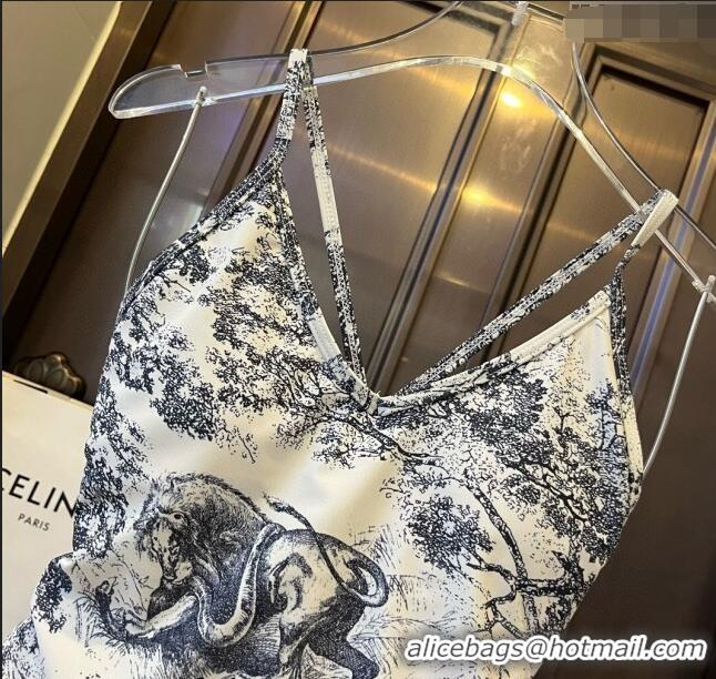 Most Popular Dior Swimwear CH040104 White 2024