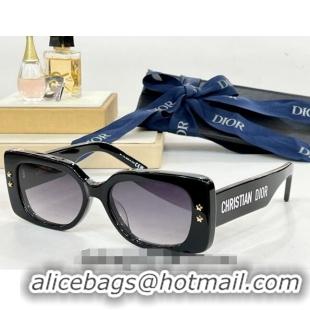 Trendy Design Dior Sunglasses ZEISS Black 2024