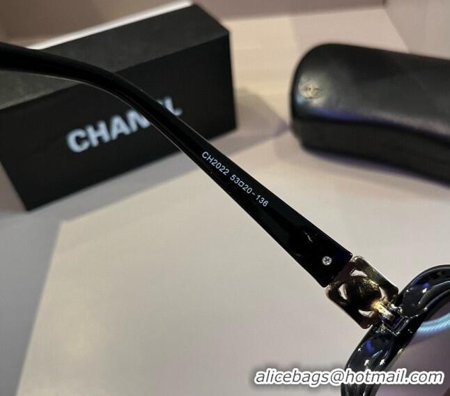 Popular Chanel Sunglasses CH041010 Black/Purple 2024