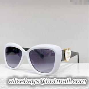 Well Crafted Chanel Sunglasses CH5519 2024