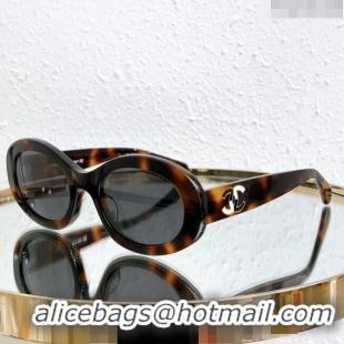 Wholesale Chanel Sunglasses CH7990 Brown 2024