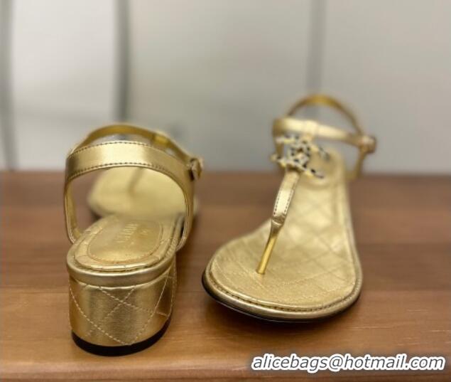 Perfect Chanel Lambskin Heel Thong Sandals 4cm with Stone CC Gold 322115