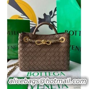 Super Quality Bottega Veneta Small Andiamo Top Handle Bag With Chain 786008 Taupe Grey 2024