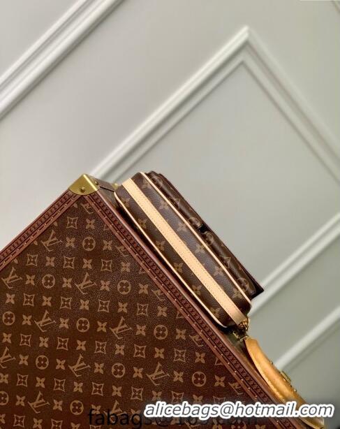 Top Quality Louis Vuitton Vibe Monogram Canvas Shoulder bag M46999 2024