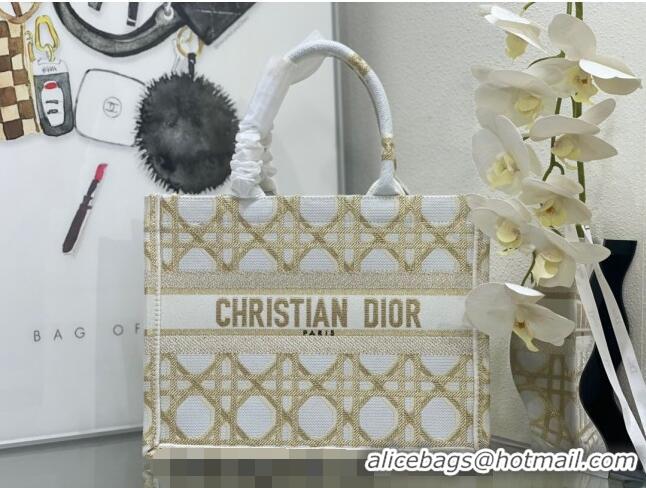 Discount Dior Medium Book Tote Bag in Macrocannage Embroidery CD2058 White and Gold 2024