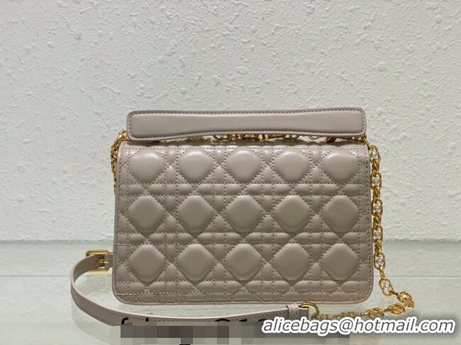 Super Quality Dior Small Jolie Top Handle Bag in Cannage Calfskin CD5057 Grey 2024