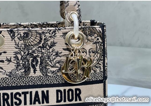 Promotional Dior Medium Lady D-Joy Bag in Toile de Jouy Soleil Embroidery CD5064 Beige/Black 2024