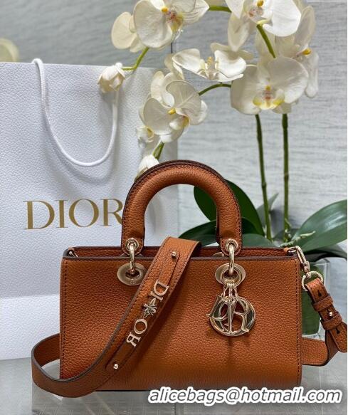 Most Popular Dior Small Lady D-Sire My ABCDior Tote Bag in Grained Calf Leather CD5102 Dark Brown 2024