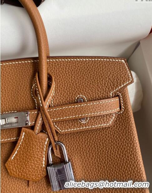 Well Crafted Hermes Birkin 25cm Bag in Original Togo Leather HB025 Brown/Silver (Pure Handmade)