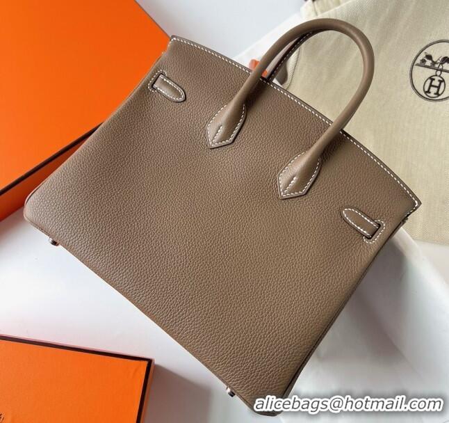 Famous Brand Hermes Birkin 25cm Bag in Original Togo Leather HB025 Etoupe/Silver (Pure Handmade)