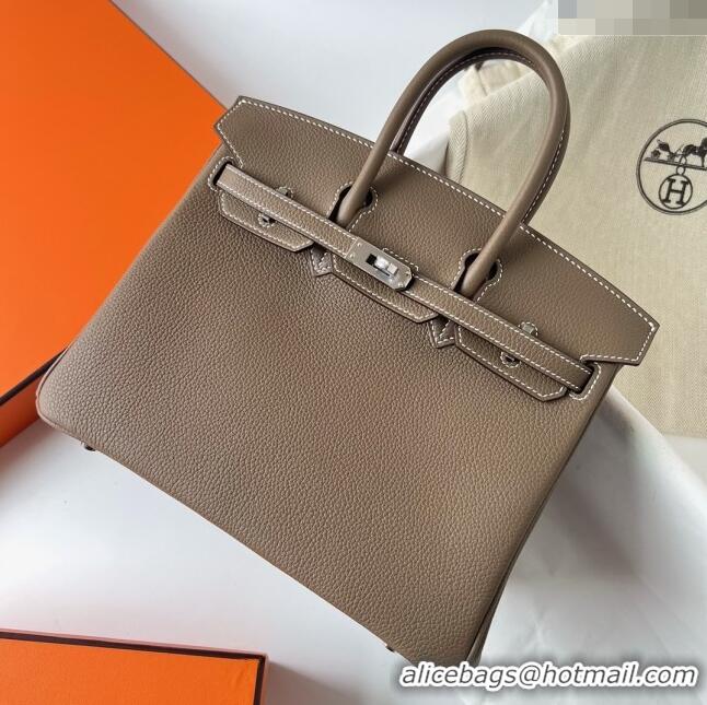 Famous Brand Hermes Birkin 25cm Bag in Original Togo Leather HB025 Etoupe/Silver (Pure Handmade)