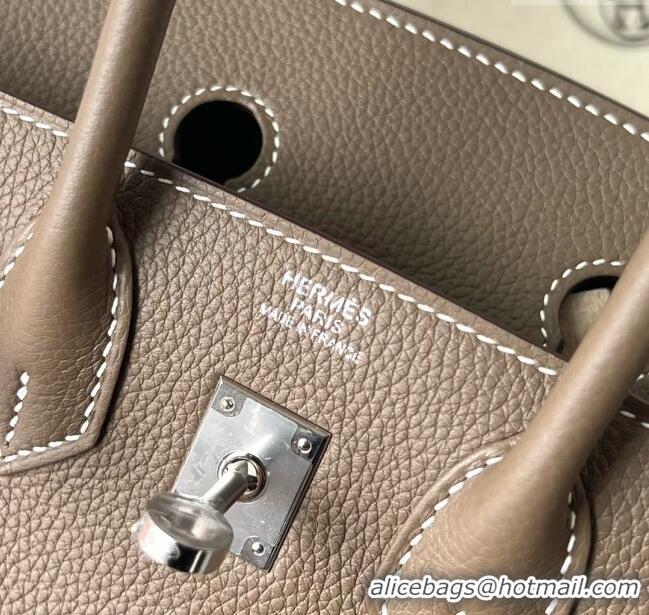 Famous Brand Hermes Birkin 25cm Bag in Original Togo Leather HB025 Etoupe/Silver (Pure Handmade)