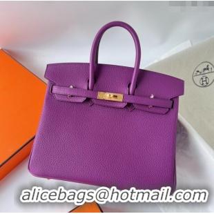 Popular Style Hermes Birkin 25cm Bag in Original Togo Leather HB025 Purple/Gold (Pure Handmade)