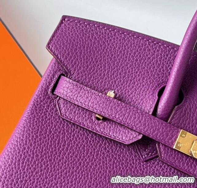 Popular Style Hermes Birkin 25cm Bag in Original Togo Leather HB025 Purple/Gold (Pure Handmade)