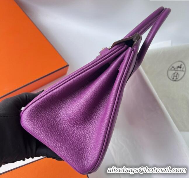 Popular Style Hermes Birkin 25cm Bag in Original Togo Leather HB025 Purple/Gold (Pure Handmade)